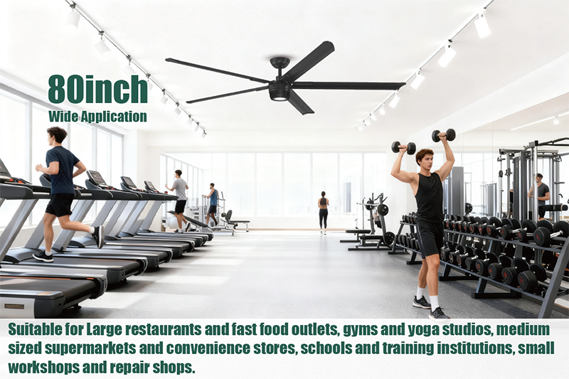 ventilador de techo para gimnasios