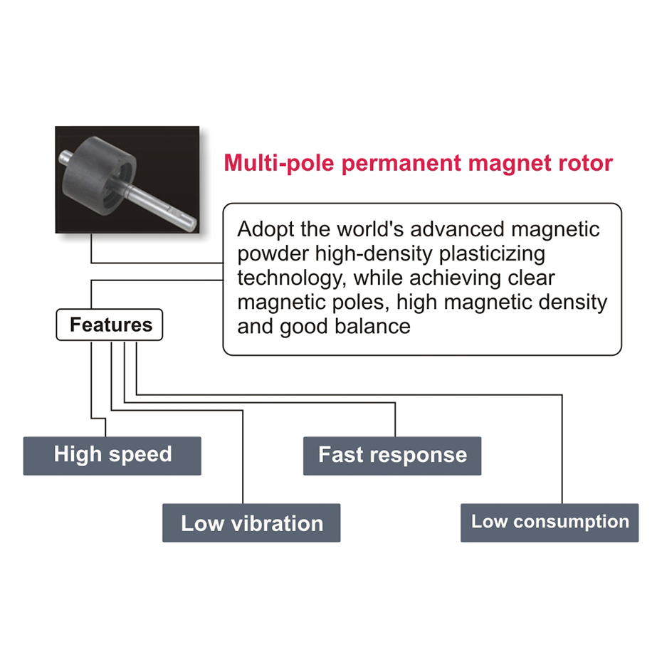 Rotor de im&aacute;n permanente multipolar