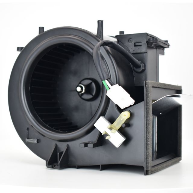 voluta independiente