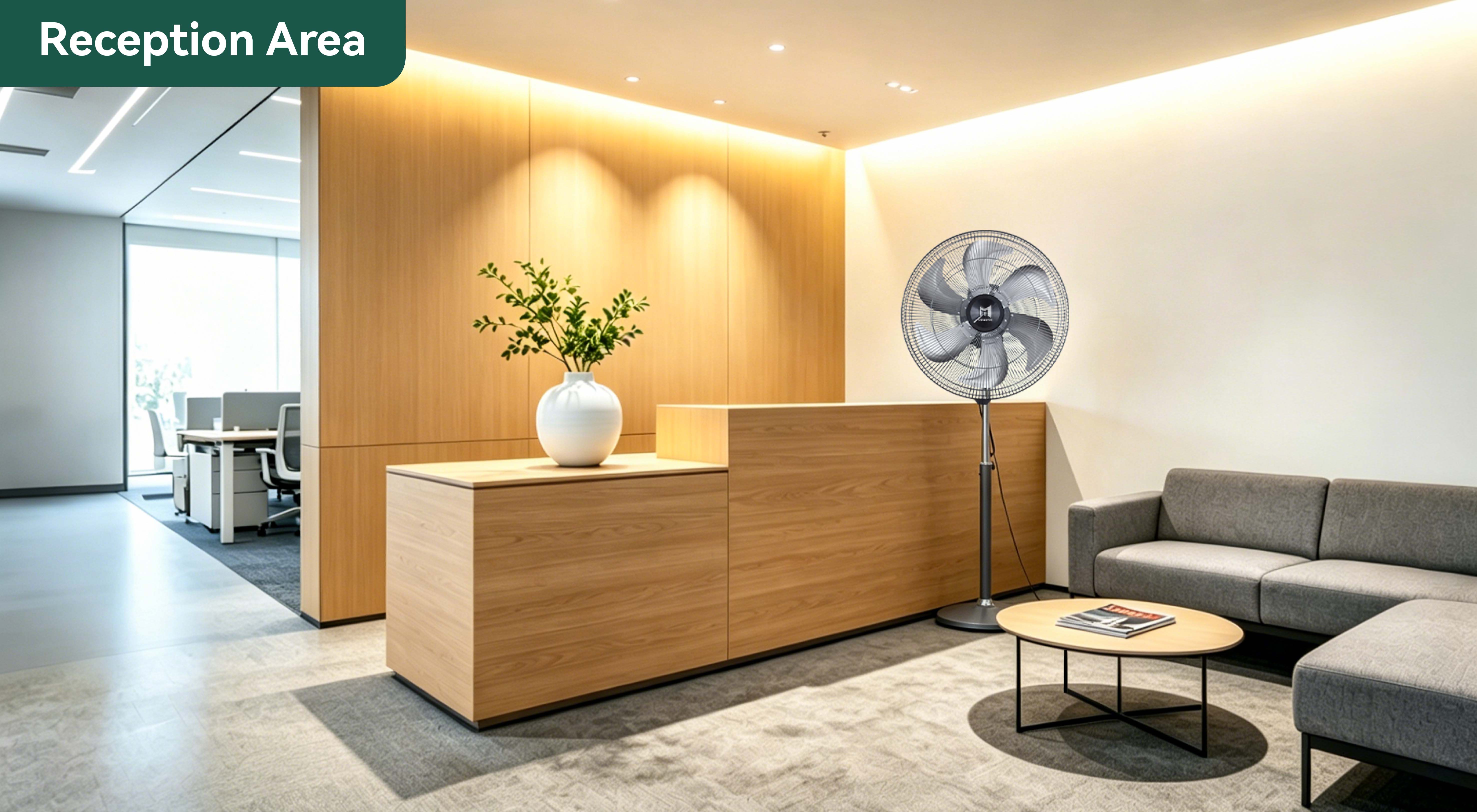 &aacute;rea de recepci&oacute;n